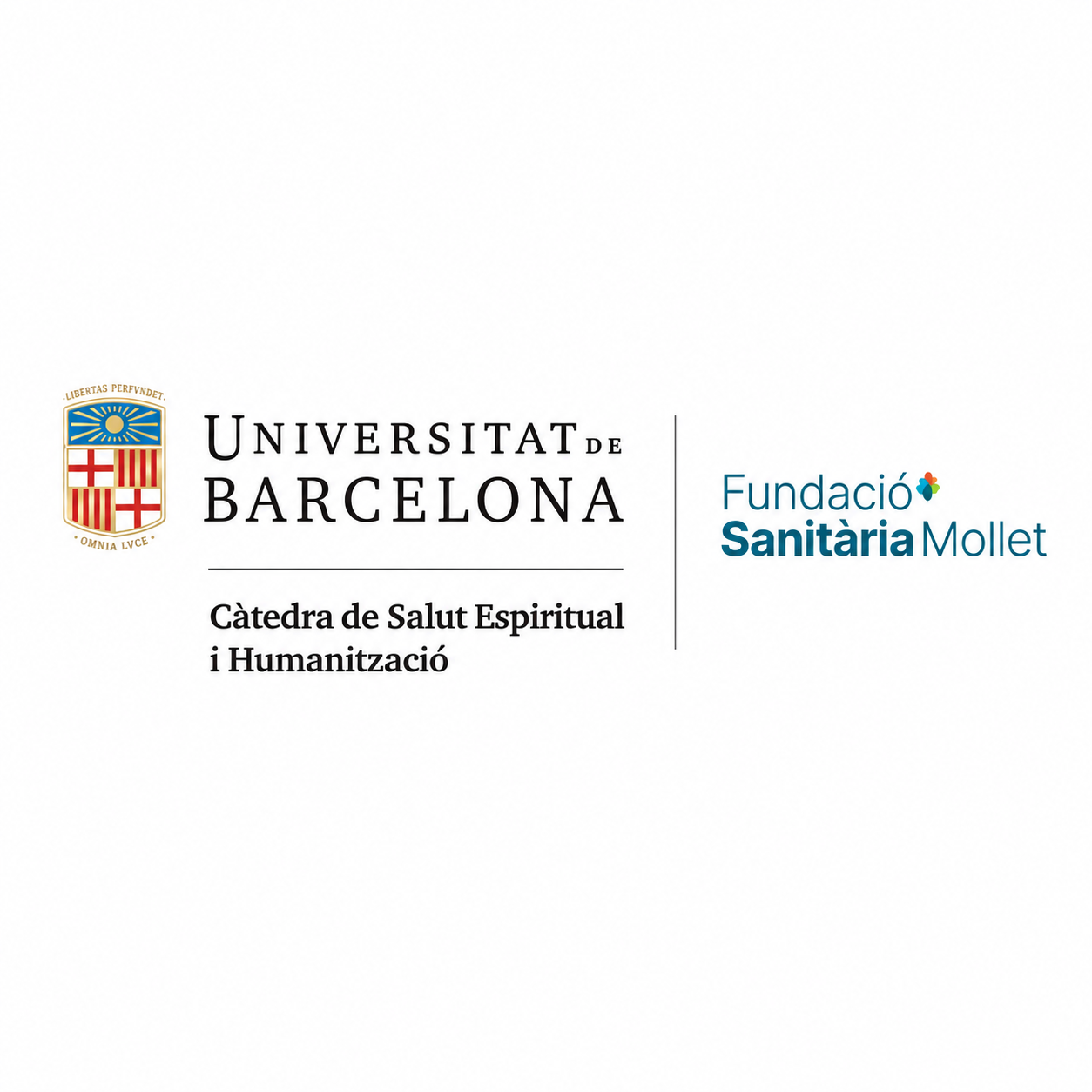 UB-FSM Chair of Spiritual Health and Humanisation